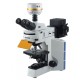Microscopes Biological